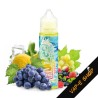 E-liquide Spring Break Fruizee Xtra Fresh Fruité | 50ml | Vape Suisse